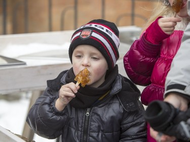 Four-year-old Ryder Weist enjoys some maple syrup taffy at Frosted Gardens on the Bessborough Hotel grounds, February 6, 2016.