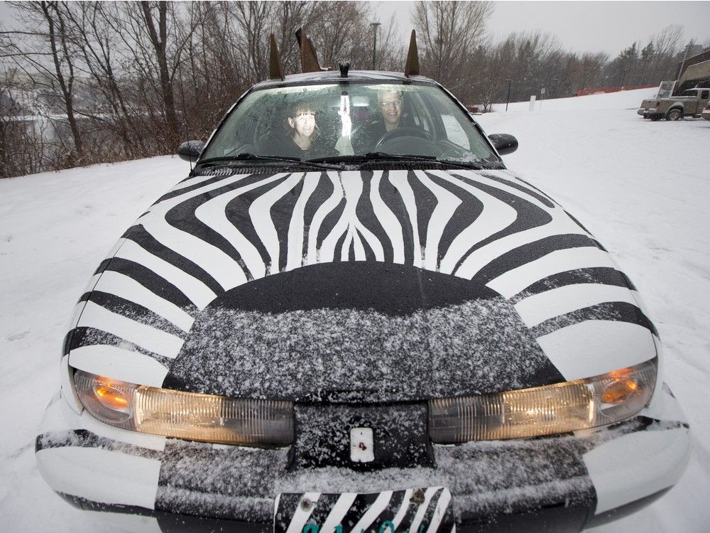 zebra print cars