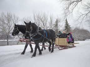 People enjoy horse sleigh rides during the Family Day Skating Party at Meewasin Skating Rink on Monday, February 15th, 2016.