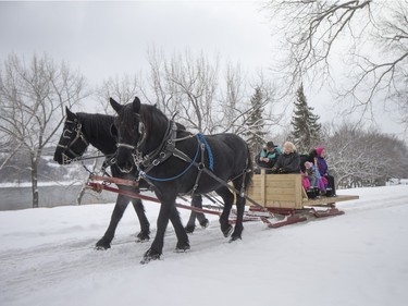 People enjoy horse sleigh rides during the Family Day Skating Party at Meewasin Skating Rink, February 15, 2016.