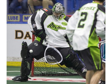 Saskatoon Rush goalie Aaron Bold makes a save against the Rochester Knighthawks in NLL first half action on Friday, February 19th, 2016.