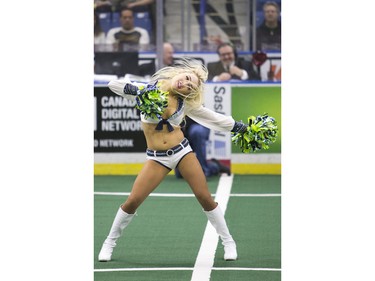 The Seattle Sea Gals cheerleaders performed prior to the game between the  Saskatoon Rush and Rochester Knighthawks in Saskatoon on Friday, February 19th, 2016.