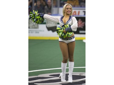 The Seattle Sea Gals cheerleaders performed prior to the game between the  Saskatoon Rush and Rochester Knighthawks in Saskatoon on Friday, February 19th, 2016.