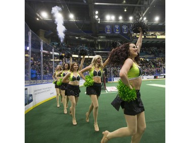 The Saskatchewan Rush cheerleaders celebrate after the Rush defeated the Rochester Knighthawks in NLL action on February 19, 2016.