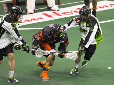 Saskatchewan Rush #90 Ben McIntosh and #9 Curtis Knight double up and free a ball from Buffalo Bandits ball carrier Mitch Jones at the Rush NLL home league game at SaskTel Centre, February 26, 2016.