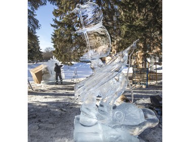 The mid-winter warm weather is reeking havoc on ice sculptures at WinterShines and in particular the Frosted Garden in the Bessborough Gardens area, January 27, 2016.