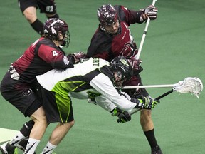 Saskatchewan Rush are back in NLL action Friday night at home against arch rival Calgary Roughnecks. (GordWaldner/Saskatoon StarPhoenix)