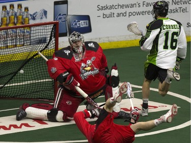 #16 Chris Corbeil of the Saskatchewan Rush scores past Frankie Scigliano of the Calgary Roughnecks during National Lacrosse League action at SaskTel Centre, February 5, 2016.