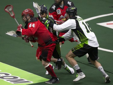 Dane Dobbie of the Calgary Roughnecks is chased by Jarrett Davis of the Saskatchewan Rush and teammate Chris Corbeil, February 5, 2016.