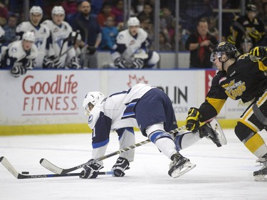The lower bowl in SaskTel Centre was packed in the morning on February 22, 2016 as schoolchildren made up the audience in a rare day game for the Saskatoon Blades against the Brandon What Kings. Blades' Luke Gingras is tripped up by Wheat Kings' Schael Higson.