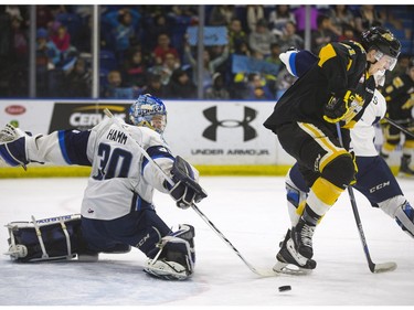 The lower bowl in SaskTel Centre was packed in the morning on February 22, 2016 as schoolchildren made up the audience in a rare day game for the Saskatoon Blades against the Brandon What Kings. Blades' Brock Hamm turns a side a shot with Wheat Kings' Tyler Coulter screening in front of the net.