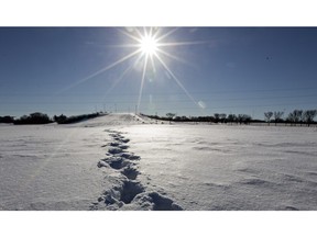 Despite warming temperatures, there is still enough snow to leave some tracks such as these at Diefenbaker Hill, Feb 23.