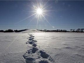 SASKATOON,SK---February 23/2016 0224 news weather-Despite warming temps, there is still enough snow to leave some tracks such as these at Diefenbaker Hill, Tuesday, Feb 23. (GREG PENDER/STARPHOENIX)