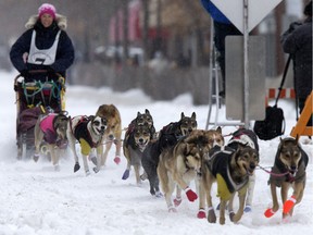 The 2016 Canadian Challenge Sled Dog Race, which was set to begin Feb. 23, has been cancelled due to bad trail conditions. In this file photo, Jillian Lawton of Alberta starts off on the course during the 2015 Canadian Challenge.