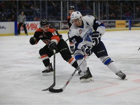 Connor Gay leads the Saskatoon Blades in scoring with 61 points.