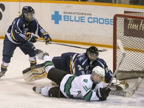 University of Saskatchewan Huskies forward Kori Herner collides with University of Lethbridge Pronghorns goalie  Jessica Lohues in CIS women's hockey action at Rutherford Rink on Saturday, January 9th, 2016. (Liam Richards/Saskatoon StarPhoenix)