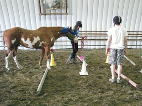 Innovative equestrian program helped One Arrow youth build life skills.