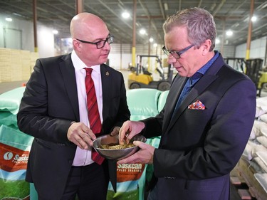 Saskatchewan Party Leader Brad Wall looks over green lentils with Omer Al-Katib (L) director, corporate affairs and Investor Relations at Alliance Grain Traders in Regina during a campaign stop, March 29, 2016.