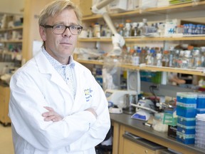 U of S biochemist Ron Geyer led a study on foiling antibiotic resistant bacteria. DAVID STOBBE / Stobbephoto.ca