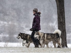 Between two and four centimetres of snow is expected to fall today, following a similar snowfall overnight.