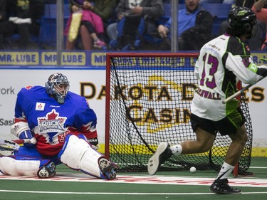 Saskatchewan Rush defence Jeff Cornwall gets a shot past Toronto Rock goalie Brandon Miller in NLL action, March 26, 2016.