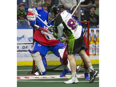 Saskatchewan Rush forward Zack Greer takes a shot on Toronto Rock goalie Brandon Miller in NLL action, March 26, 2016.