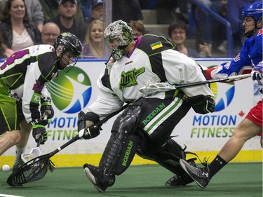 Saskatchewan Rush goalie Aaron Bold moves the ball against the Toronto Rock in NLL action, March 26, 2016.