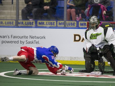 Saskatchewan Rush goalie Aaron Bold makes a stop as Toronto Rock forward Brett Hickey dives in NLL action, March 26, 2016.