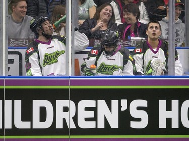 Saskatchewan Rush fill the penalty box against the Toronto Rock in NLL action, March 26, 2016.