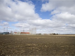 This field on the University of Saskatchewan campus may be the future site of a new U of S hockey rink.