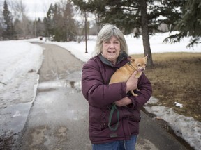 Margaret Pillow carries her dog, George, as she walks along the Meewasin Trail near Victoria Park in Saskatoon, March 6, 2016.