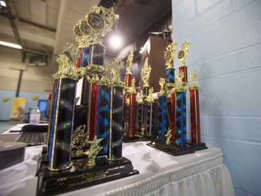 Trophies for the first ever First Nations Provincial Spelling Bee at the Don Ross Centre in North Battleford, April 8, 2016.