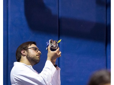 A little fine tuning before robots due battle at the 8th annual Polytechnic Sumobot Robot Rumble,  April 14, 2016.