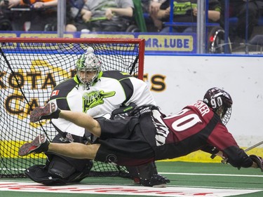 Saskatchewan Rush goalie Tyler Carlson is not able to stop a shot from Colorado Mammoth's Jackson Decker in NLL action on April 16, 2016.