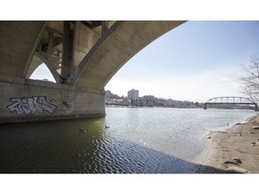 Geese enjoying a swim under the last remaining span of the Traffic Bridge.