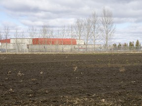 This field south of the Saskatoon Field House has been pegged as the future location of a twin-pad arena being considered by the University of Saskatchewan. The land is owned by the university and is used for crop research.