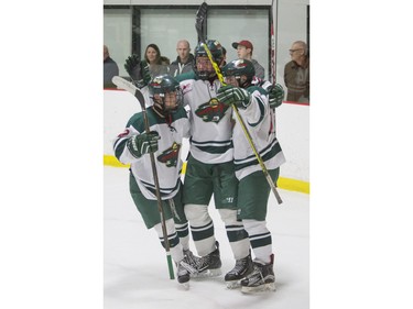 The Winnipeg Wild celebrate a goal against the Notre Dame Hounds during a Telus Cup west regional game at Rod Hamm Memorial Arena in Saskatoon, March 31, 2016.