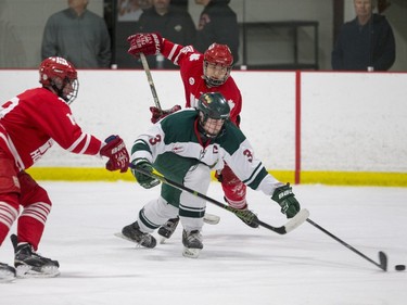 Winnipeg Wild defensemen Dane Bumstead knocks the puck away from the Notre Dame Hounds during a Telus Cup west regional game at Rod Hamm Memorial Arena in Saskatoon, March 31, 2016.