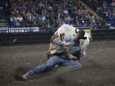 Cole Rutledge wrestles a steer during competition at the Saskatoon Summer Rodeo at SaskTel Centre in Saskatoon, April 23, 2016.