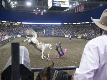 Shane Wolfe gets bucked of a horse during the Novice Saddle Bronc at the Saskatoon Summer Rodeo in the Sasktel Centre in Saskatoon, Saskatchewan on Saturday, April 23rd, 2016.