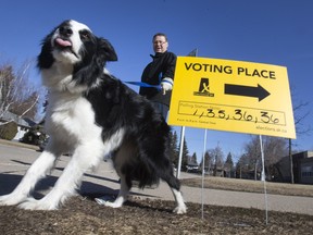 Bob Erlandson keeps watch of his dog Kaycee outside the polling station at St. Philip School, Monday, April 04, 2016, while his wife Val took her turn inside voting. (GREG PENDER/STAR PHOENIX)