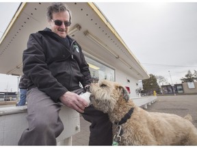 SASKATOON,SK-- April 04/2016 0405 -- Klancy the Wheaton terrier gets an ice cream treat for spring from owner Bourk Jenkins at the Eighth Street East Dairy Queen location, Monday, April 04, 2016. (GREG PENDER/STAR PHOENIX)