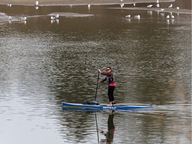 A paddle boarder enjoys the calm river water south of Victoria Park, April 26, 2016.