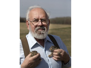 John Polson at Diefenbaker Park with 12 baby hares he rescued from the city, April 27, 2016.