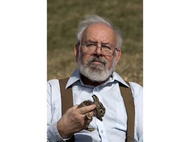 John Polson at Diefenbaker Park with 12 baby hares he rescued from the city, April 27, 2016.