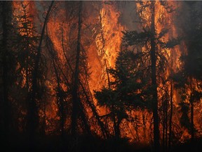 Flames engulf trees along a highway near Fort McMurray, Alta.