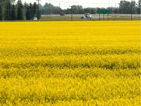 Canola farmers in Canada face a challenge with new Chinese standards on dockage in the oilseed.