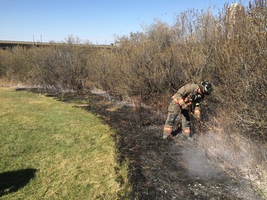 Firefighters worked to put out what remained of a grassfire on the east riverbank between the Broadway and University Bridges in Saskatoon, April 30, 2016.