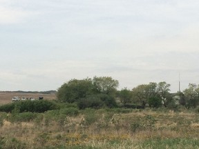 RCMP investigate the site on Saturday, May 21, 2016 near Arelee, Sask. where human remains were found earlier this week. (Jason Warick/Saskatoon StarPhoenix)