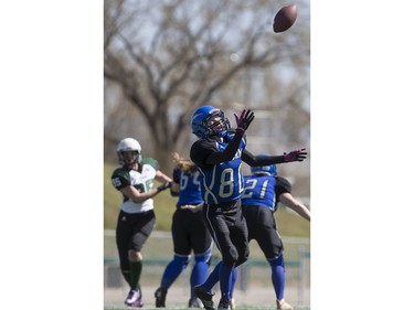 Saskatoon Valkyries move in as Edmonton Storm kicker Aria McGowan loses control of a snapped ball during a Western Women's Canadian Football League (WWCFL) exhibition game at SMF field on Saturday, April 30, 2016